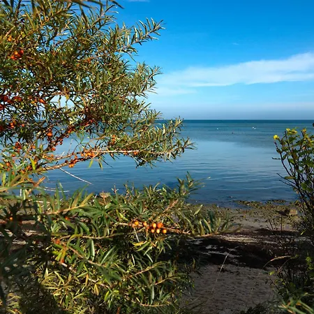 Lejlighed Fip Park Sonnennest Gollwitz